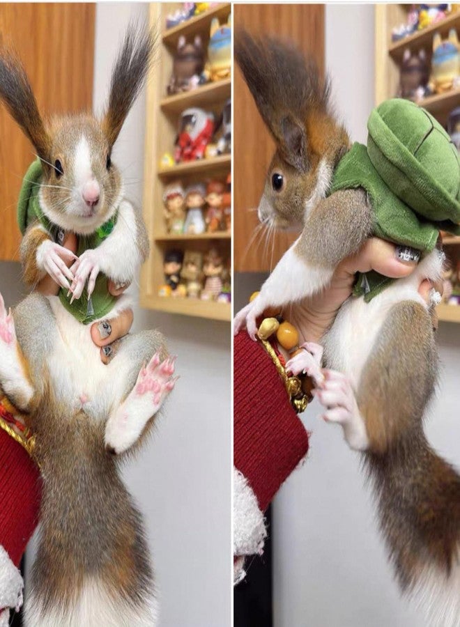 TTMIMIK Cute Squirrel Costumes Turtle Shell Kawaii Squirrel Clothes for Small Rabbit Guinea Pig Ferret and Other Small pet (Medium) - Image 5